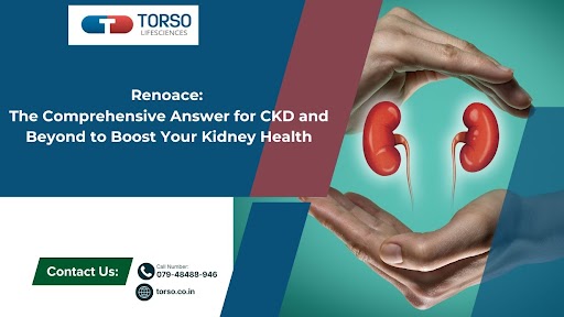 renoace-the-comprehensive-answer-for-ckd-and-beyond-to-boost-your-kidney-health